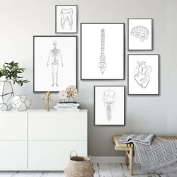 Anatomy Skeleton One Line Posters and Prints Anatomical Heart Drawing Illustration Canvas Pictures for Gift Clinic Wall Decor