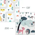 Coche de Zoológico