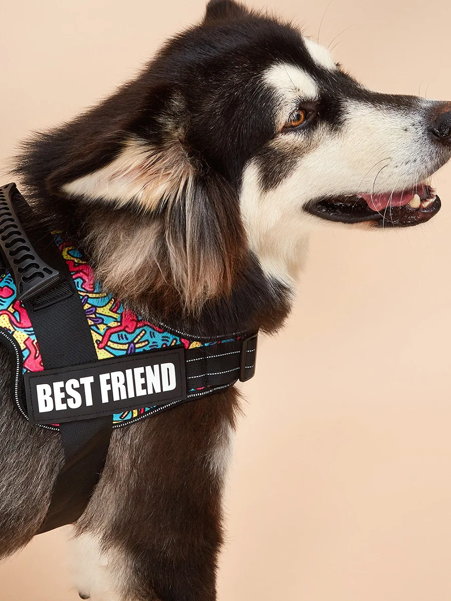 HUNDBELEUCHTET Bunte Hundegeschirrweste, anpassbare Anhänger, reflektierendes Hundehalsband, kein Ziehen, sicheres Training, Spazierengehen, Hundeklettern – Detail 6