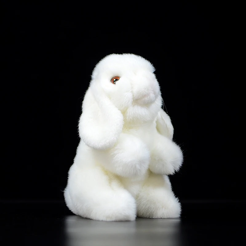 

Cute White Holland Lop Eared Rabbit Dolls Simulation Bunny Adorable Animal Realistic Soft Stuffed Plushie Toy For Kids Gift