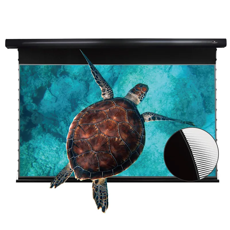 MIVISION Listrik Ketegangan Tab Cerdas Langit-langit Tarik Ke Bawah Layar Proyeksi Bermotor dengan Layar Proyeksi Proyektor Alr