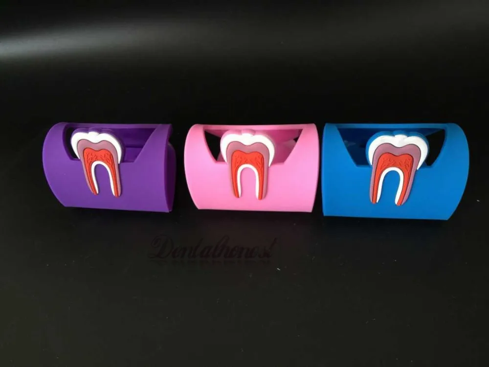 

3pcs Dentistry Rubber Dental Teeth Tooth Name Card Holder Case