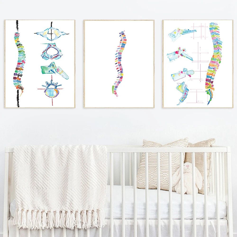 Watercolors Spine Anatomy Poster Medical Canvas Painting Chiropractor Wall Art Pictures For Physical Therapist's Room Prints