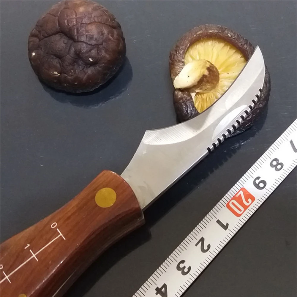 Imagem -06 - Mushroom Folding Knife With Rosewood Handle Pocket Knife Box Cutter Sobrevivência ao ar Livre Camping Keychain Utility Ferramentas Edc 2023