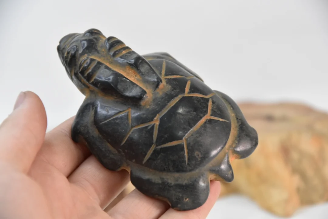 Hongshan culture meteorite iron xizang received the dragon turtle longevity turtle