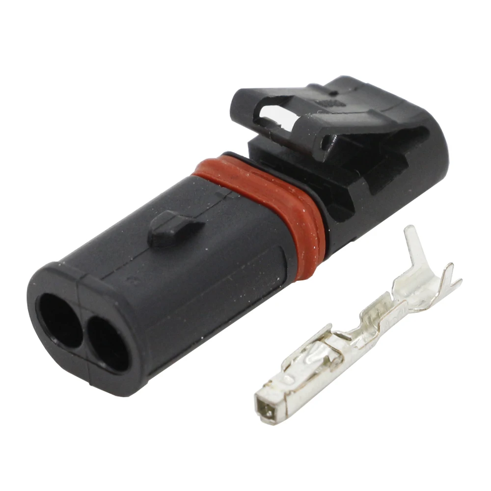 2 Pin Automotive stecker kabelbaum stecker stecker mit Terminal DJ7027-1-21 2 P