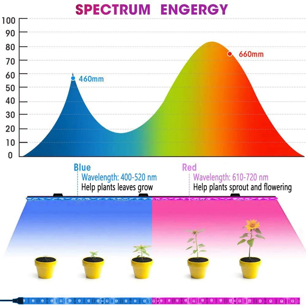 LED 성장 빛 전체 스펙트럼 USB 성장 조명 스트립 0.5m 1m 2m 3m 2835 SMD DC5V LED 식물 테이프 씨앗 식물 꽃 온실 D30