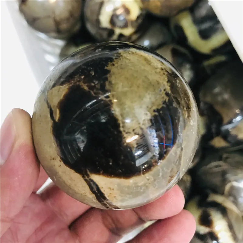 Natural septarian sphere septarium Natural Dragon Stone Septarium Fossil Crystal Sphere Ball Healing Free shipping