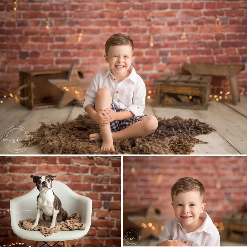 Brick Wall Photography Background Photo Studio Children Newborn Birthday Portrait Background Pet Professional Photographic Props