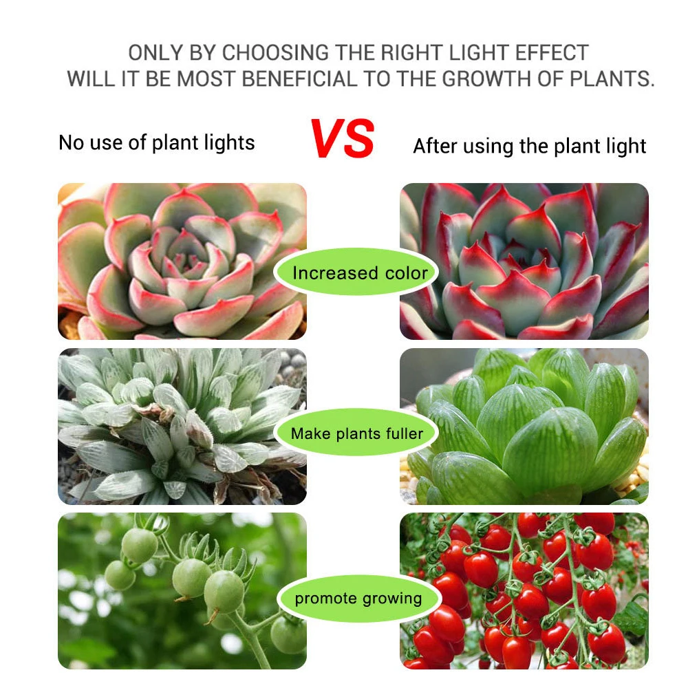 USB Phytolamps for Plants LED Plant Growth Light Strip 5V 2835 Chip 0.5m 1m 2m 3m for Hydroponic Greenhouse Seedlings Growth