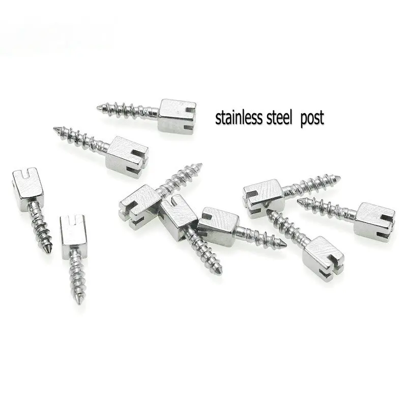 Dental Euro Post Steel Screw Pins 100Pcs/Bag Dental Materials For Dentist Tool Dentistry Material