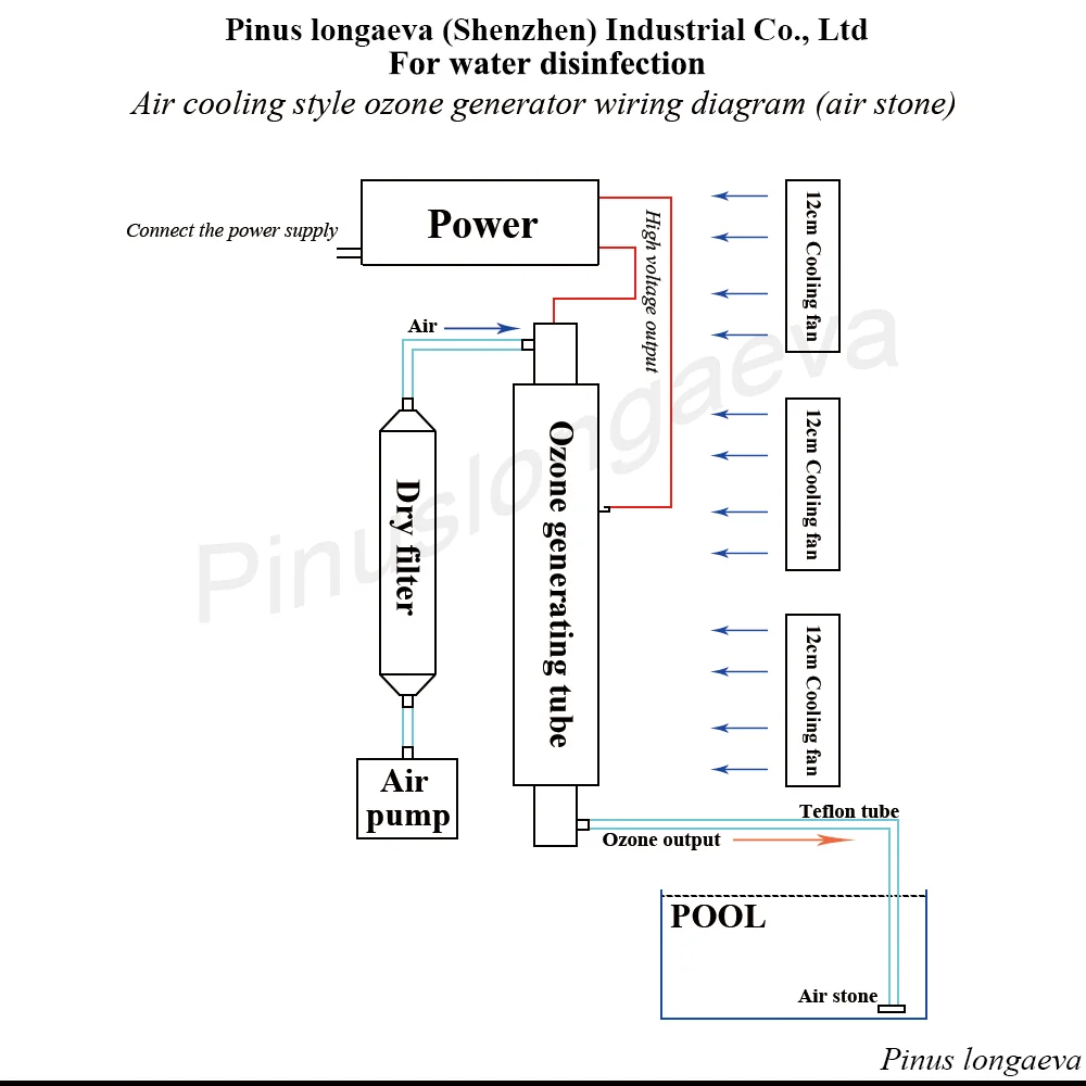 Pinus longaeva 5G/H 5grams spa ozone generator water tretment ozonizer ozonator home use air purifier