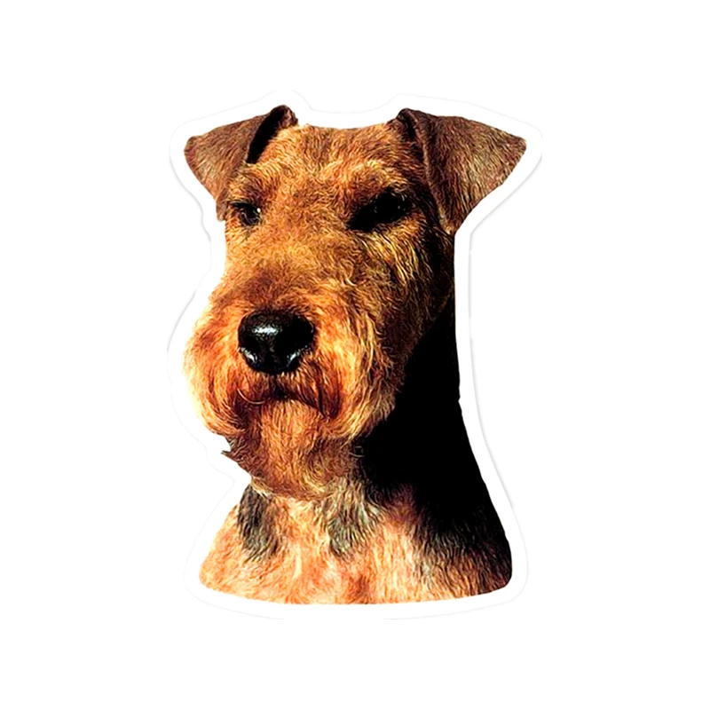 

S41162# Various Sizes Self-adhesive Decal Welsh Terrier Car Sticker Waterproof Auto Decors on Bumper Rear Window