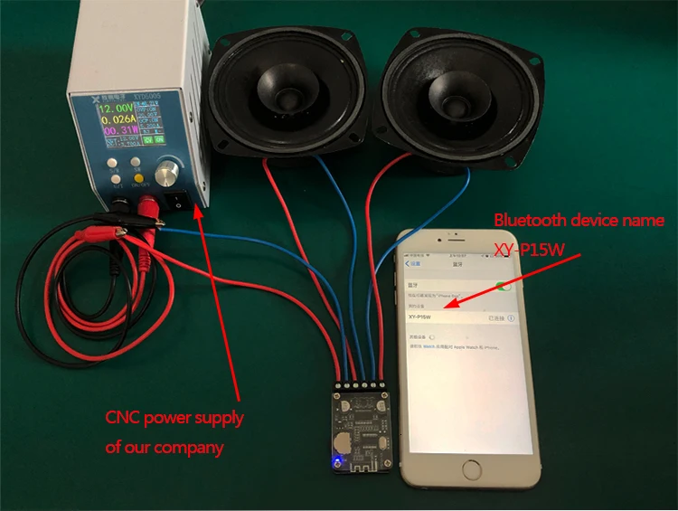 1/2/5 Stück XY-P15W 10W/15W/20W Stereo Bluetooth-5.0 Leistungsverstärker-Platine 12V/24V Hochleistungs-Verstärkermodul – Detail 2