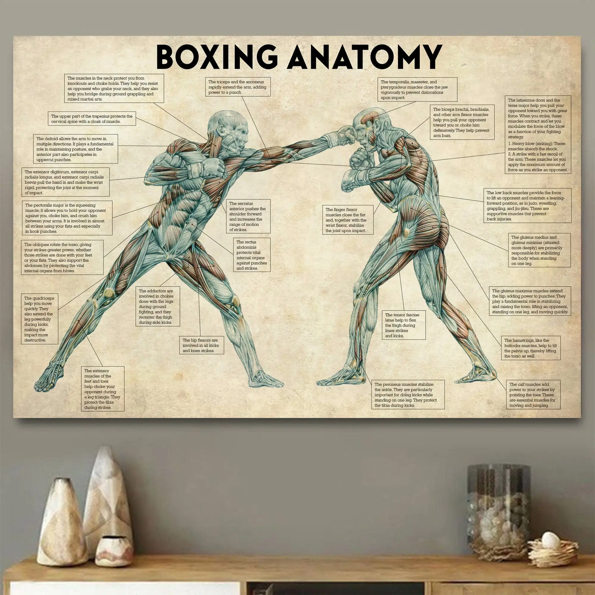 

Vintage Boxing Body Anatomy Posters and Prints Wall Art Canvas Painting Boxing Lover Gift for Gym Room Cuadros Home Decoration