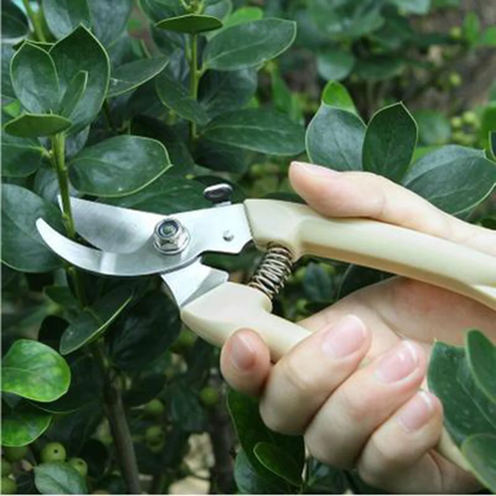 

Garden Shears Orchard Pruning Hand Tool Stainless Steel Scissor Branch Tree Trimmers Secateurs For Gardening Scissors Tools