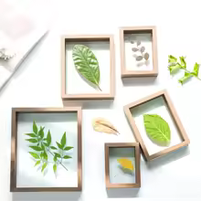 Wood Picture Frames