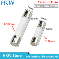 10pcs/lot 5*20mm 6*30mm Fast Blow Tube Fuses 250V 0.5A 1A 2A 3A 4A 5A 6A 6.3A 8A 10A 15A 20A 25A 30A AMP Fuse Ceramic Fusible