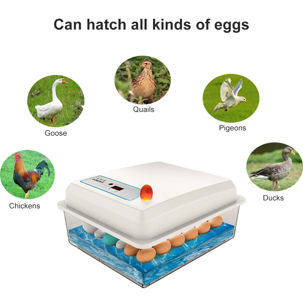 20 Eggs Incubator Brooder Bird Quail Chick Hatchery Automatic Egg Incubator Poultry Hatcher Turner Automatic Temperature Control