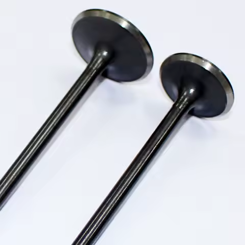Motorcycle Engine Valves for Haojue Qjmotor SUZUKI Qingqi Jingcheng Dayang GN125 GS125 QJ125 HJ125 25cc Intake and Exhaust Valve