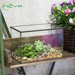 NCYP Rectangle Clear Glass Flower Pot Geometric Terrarium Flower Pots For Indoor Outdoor Tabletop Plant Desktop Flowerpot