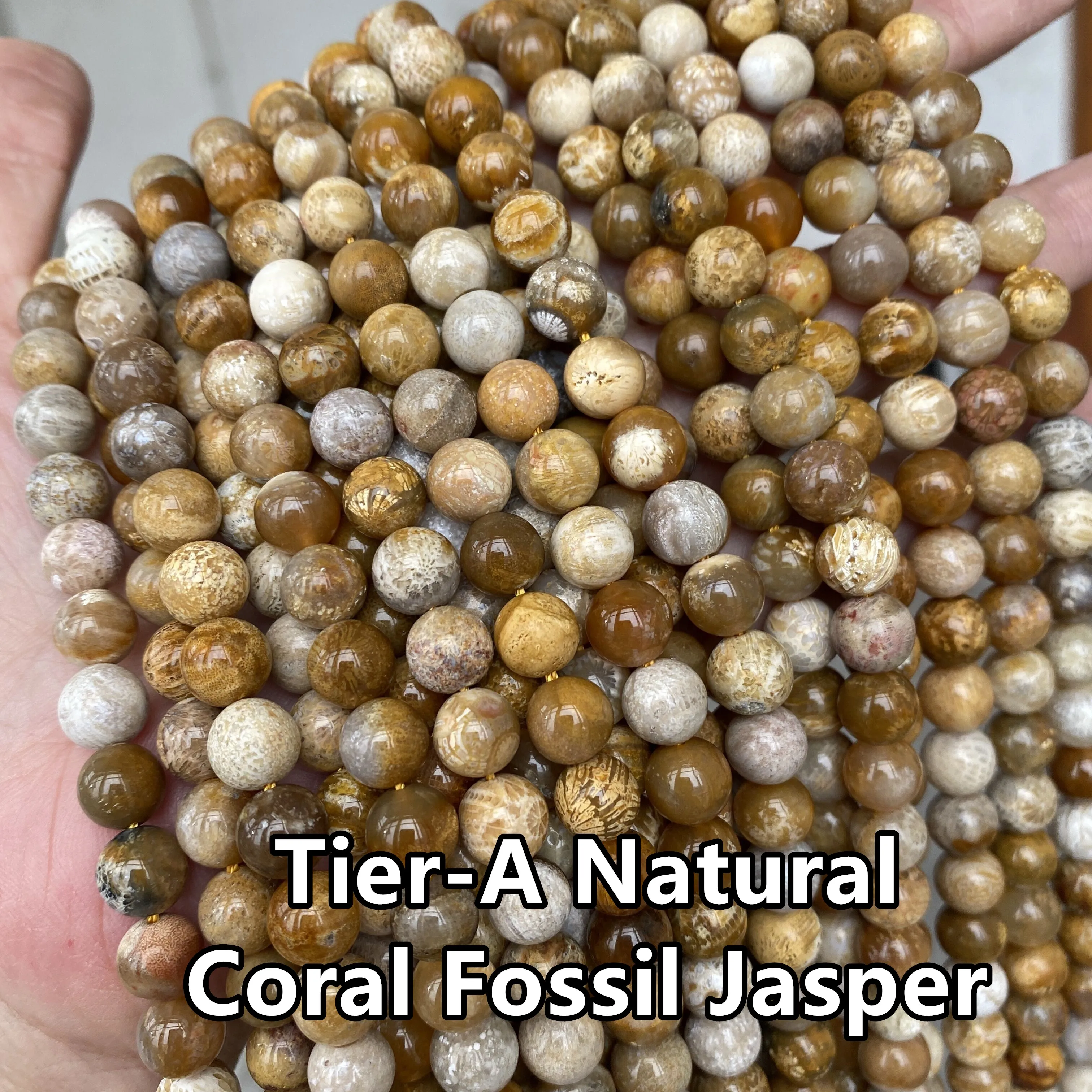 Fossilized Coral Jaspers Natural Stone Beads Loose Round 6/8/10mm Beads Strand Coral Jaspers Gem Stone A Quality