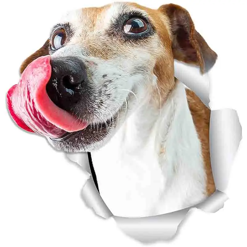 

Three Ratels FTC-1033 Hungry Jack Russell Dog Wall Decals 3D Sticker For Walls Cars Toilet