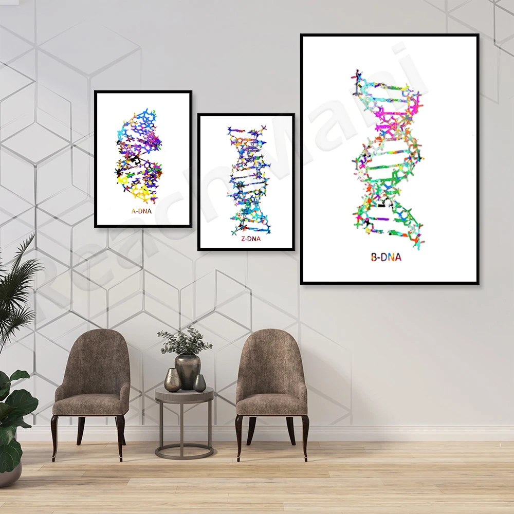 ADN طباعة DNA A B Z dna الفن يطبع الأطباء الهدايا العلوم الفن عيادات علم الأحياء الدقيقة الوراثية الممرضات الهدايا الملصقات الفنية الجزيئية