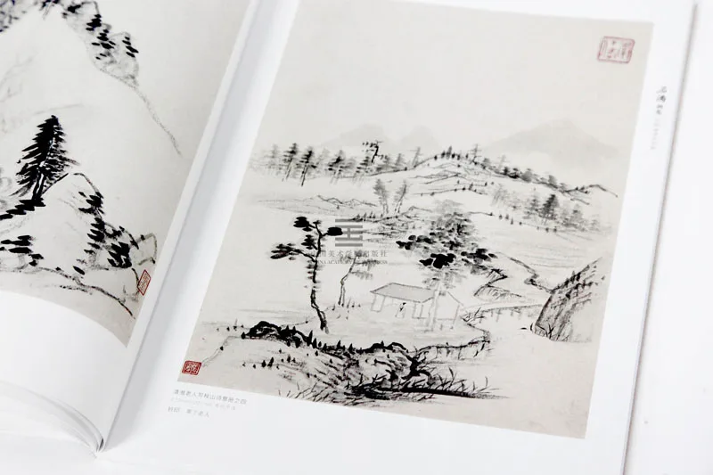 Collection of classics Shi Tao painting drawing art book