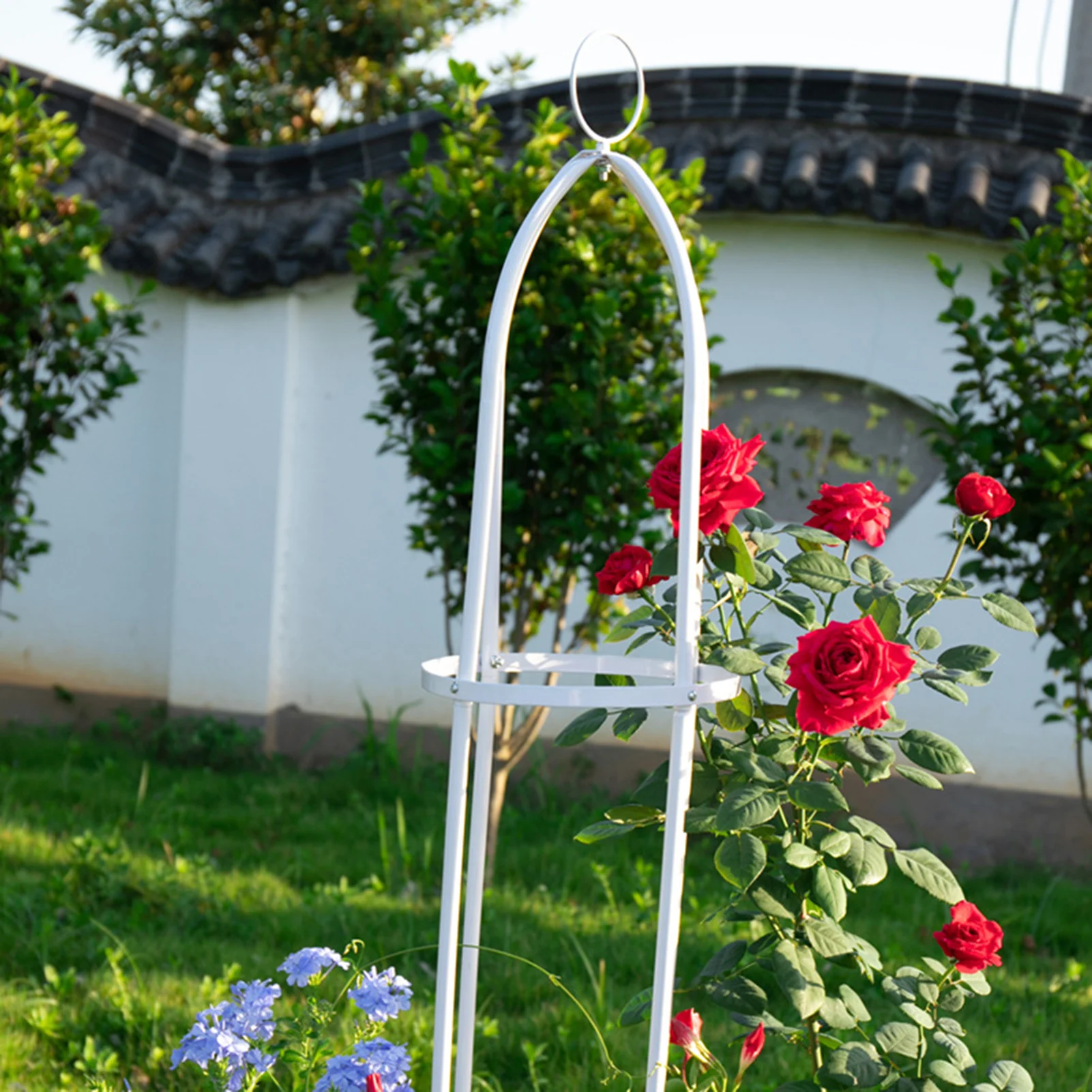 142/149cm ogród Trellis Obelisk roślin stalowa rama dla rośliny pnące kwiat winorośli trwałe podpórka ogród sadzenia