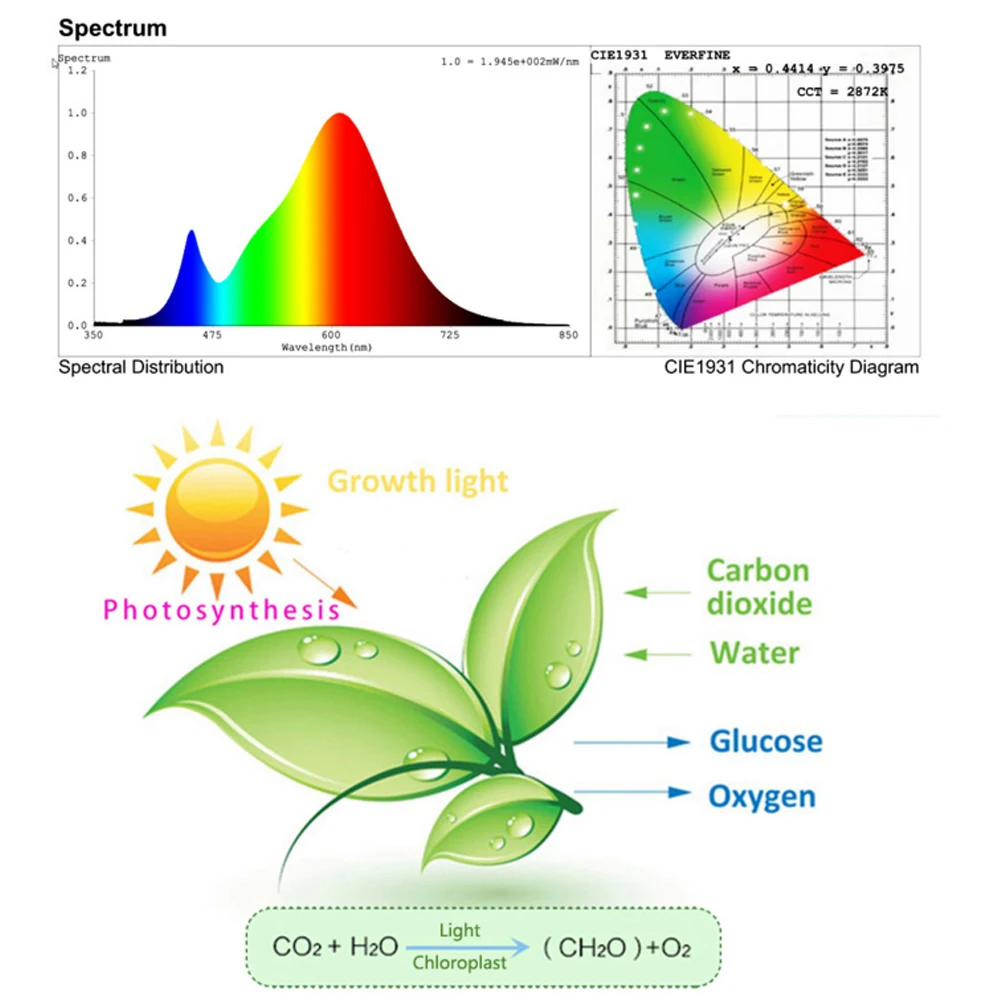 Imagem -04 - Lâmpada Led Full Spectrum para Cultivo e Crescimentde de Plantas Luz de Led 50w 220 w 100 v Refletor Holofote