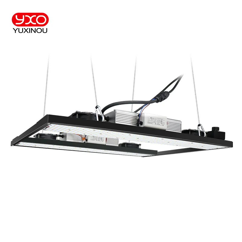 YXO 6500 LED 성장 조명 SAM-NG, LM301H 다이오드, 조도 조절, 전체 스펙트럼 수경 식물 램프, 온실 실내 식물용, 650W