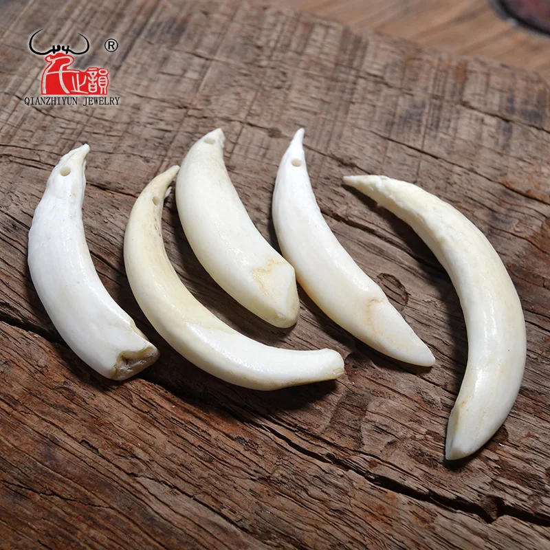 10pcs Bending Wild boar Teeth Natural Bone Beads Pendants For Diy Jewelry Making Primitive tribal ornaments Jewelry Accessories