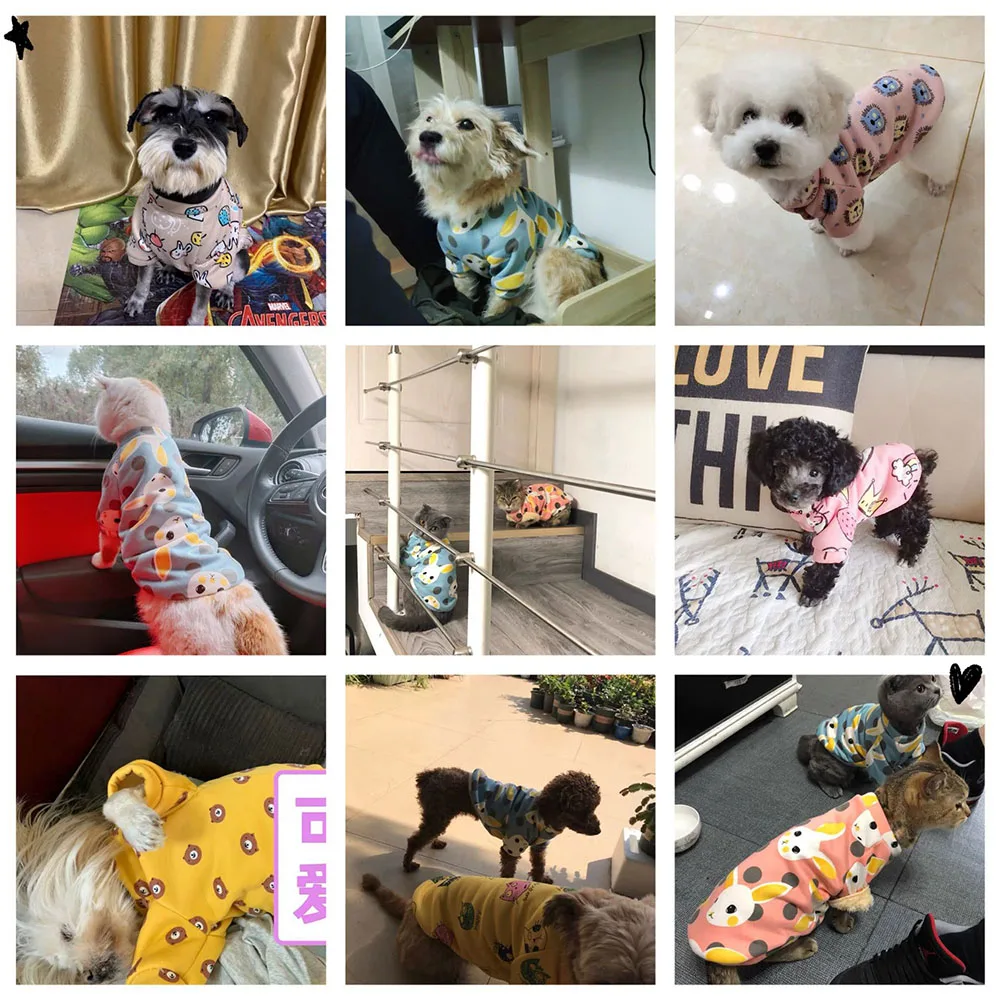 Cartoni Animati T-shirt Cane Di Piccola Taglia Gilet Morbido - Foto 6