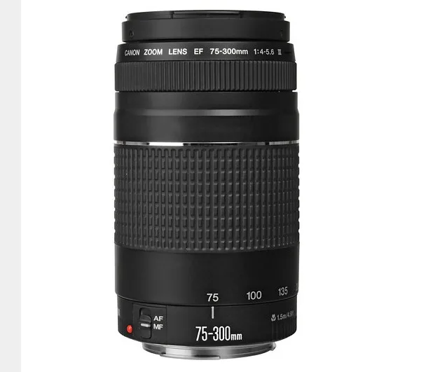 Canon 75-300 lens EF 75-300mm F/4-5.6 III Telephoto Lenses for Canon 550D 600D 700D 750D 760D 1300D 60D 70D 80D  6D T6 T3i T5i