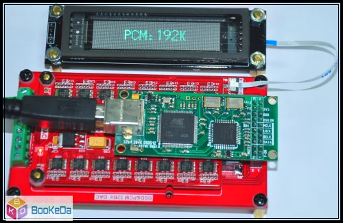 R2R DSD PCM DAC Full Discrete 32-bit Decoding Dual Solution Identification 2 Parallel VFD OLED