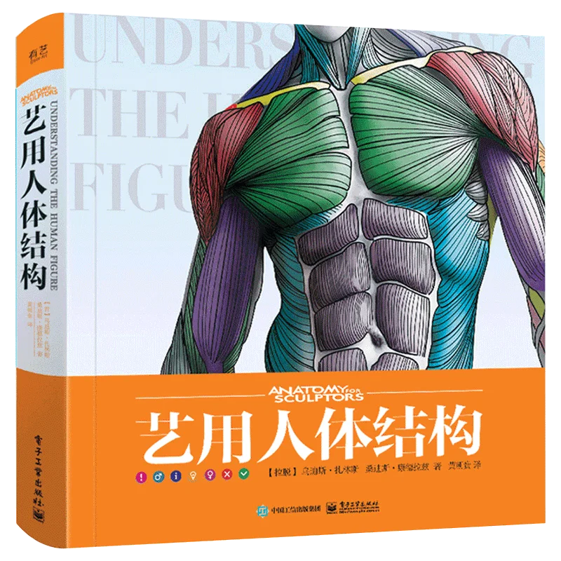 3D HD Art Human Body Books Sculpture game character design basic tutorial books drawing Human form, structure, skeletal muscle