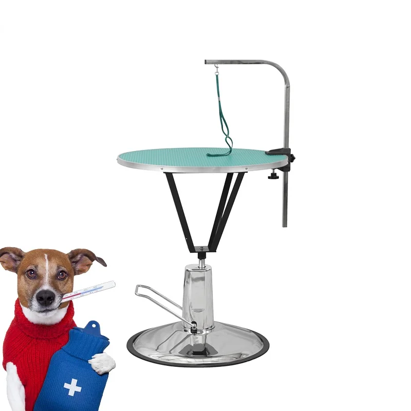 Rubber Material Stainless Steel Veterinary Equipment Hydraulic Lifting Adjustable Pet Grooming Table