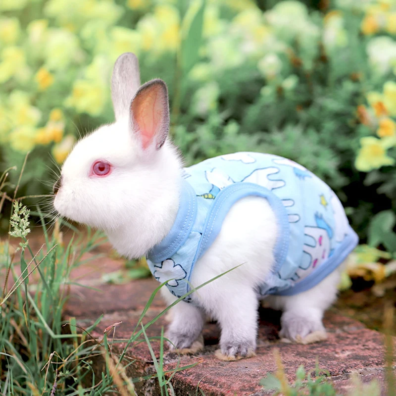 Rabbit Summer Special Sunscreen Clothing Bunny Air-conditioning Vest Pet Cool And Breathable Clothes Rabbit Dress Up Accessories