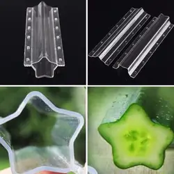 Pointed Star Shaping Agricultural Mould Vegetable Fruit Growth Forming Mold Tool