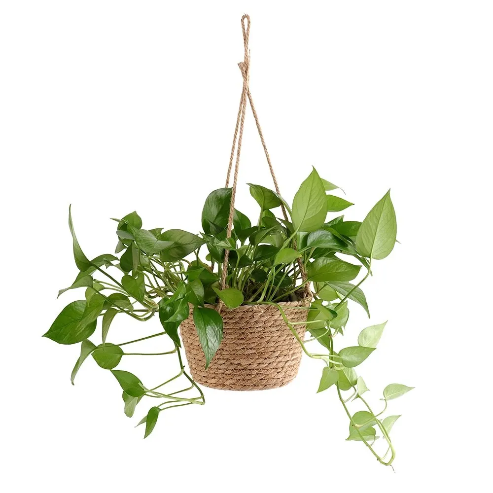 Macetero colgante de macramé para jardín, cesta de almacenamiento de plantas, cuerda de yute tejida para interior y exterior, soporte para maceta de