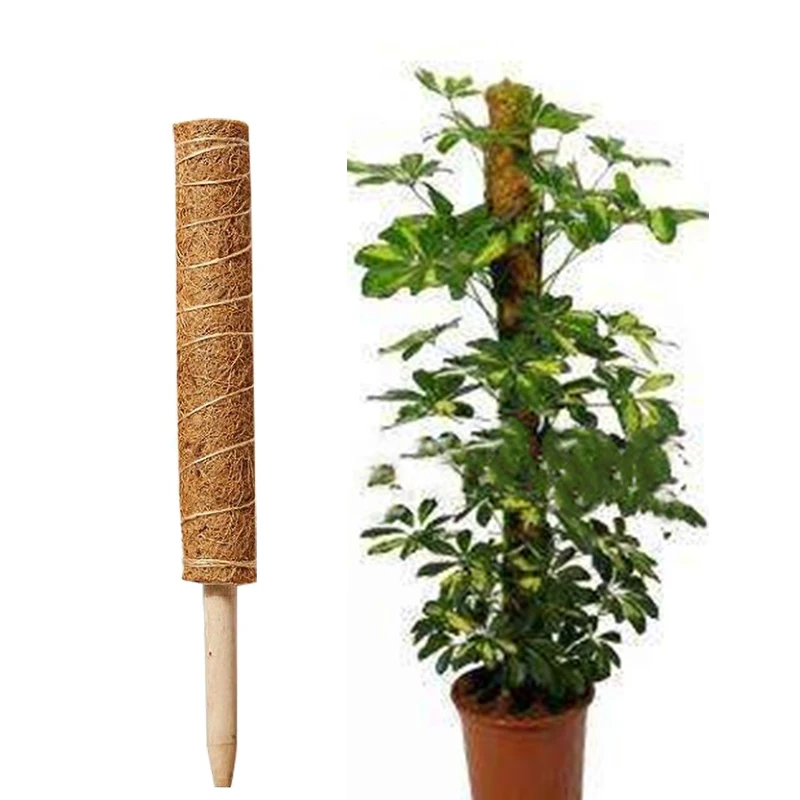 Home Support Coir Indoor Extension Coconut Fiber Stick, Plant Frame for Creepers, Maintains Moisture & Supports Climbing Plants