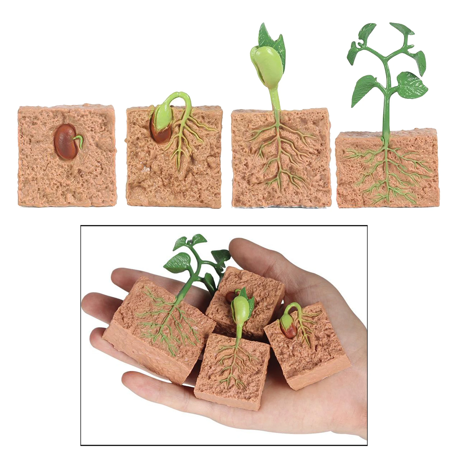 Kids Plant Seeds Growth Life Cycle Playset Cognitive Toys Teaching Aids