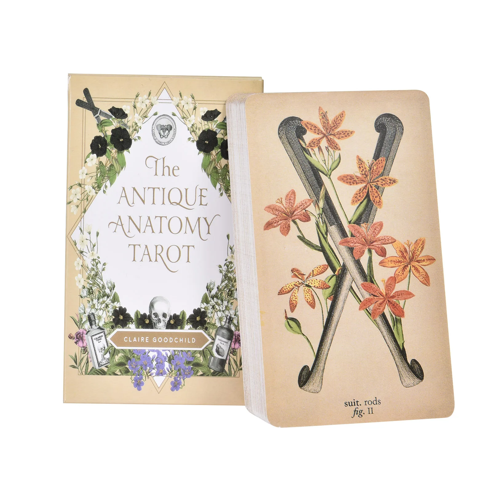 The Antique Anatomy Tarot Cards English Version tarot deck PDF Guidebook Board games for Women personal use