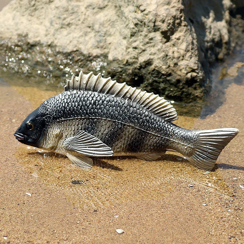 Oenux Meer Leben Tiere Modell Action-figuren Ozean Fisch Segelfisch Bass Zacker Lachs Aquarium Figuren PVC Pädagogisches Kinder Spielzeug – Detail 19