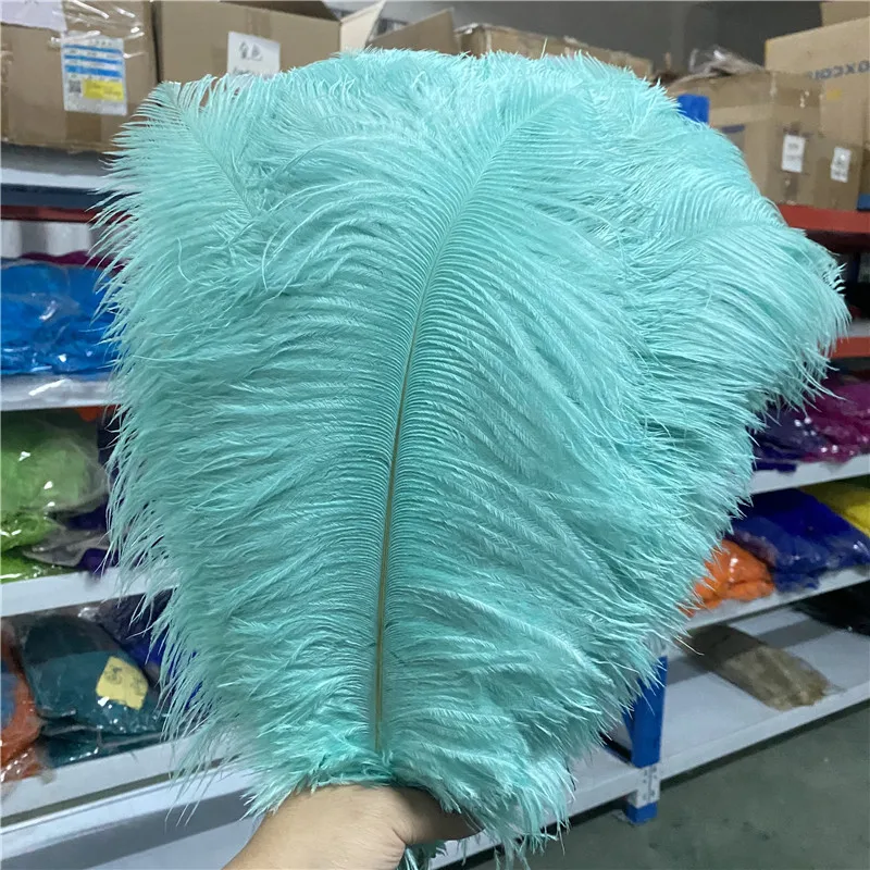 50pcs/lot Fluffy Ostrich Feather light green 16-18 Inches/40-45cm Jewelry Decoration for Party Plumes Feathers for Crafts