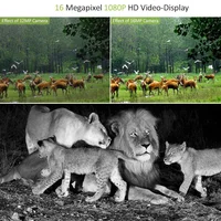 20MP 1080P Night Vision Waterproof Wireless Hunting Camera Trail Cameras MiNi301 Photo Trap for Wildlife 5