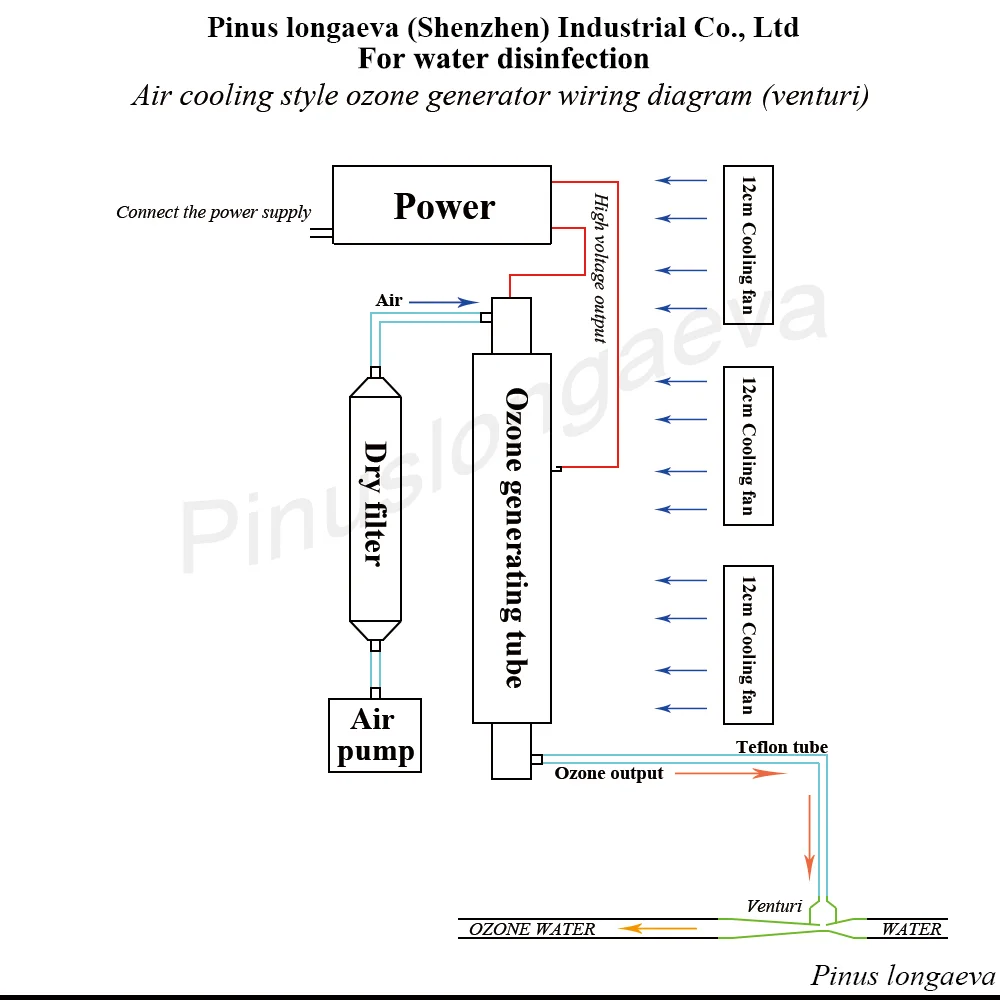 Pinus longaeva 5G/H 5grams spa ozone generator water tretment ozonizer ozonator home use air purifier