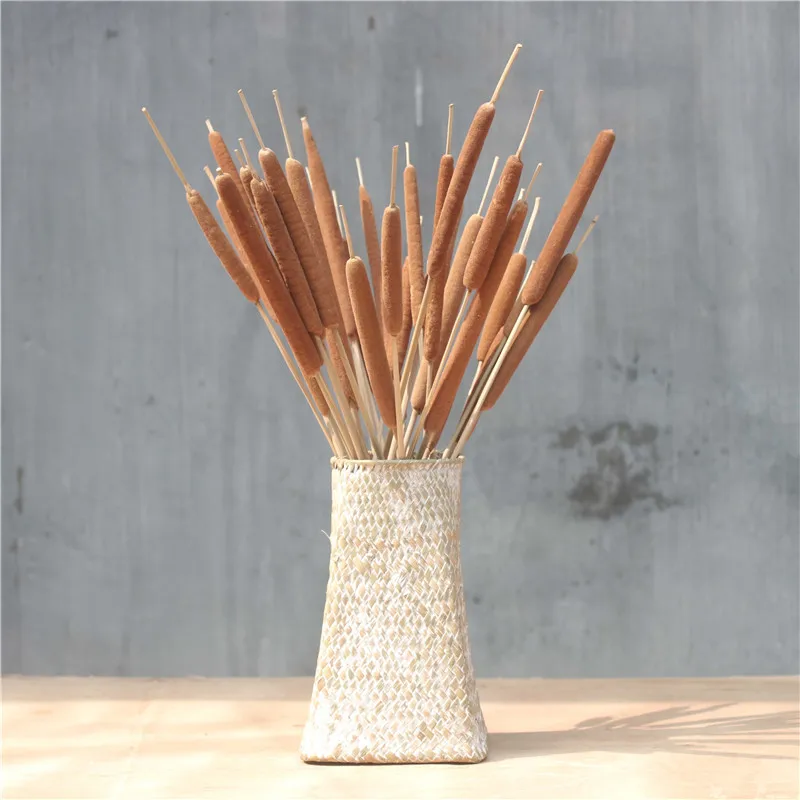 10pcs reed stick home art decor pure natural plants cattail dried plants exhibit design use flowers