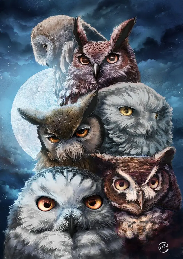 

Div 5D Owl Full Moon Light Night Full Diamond Painting cross stitch kits art High Quality Animal 3D paint by diamonds